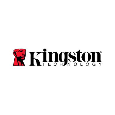 Kingston Storage Devices